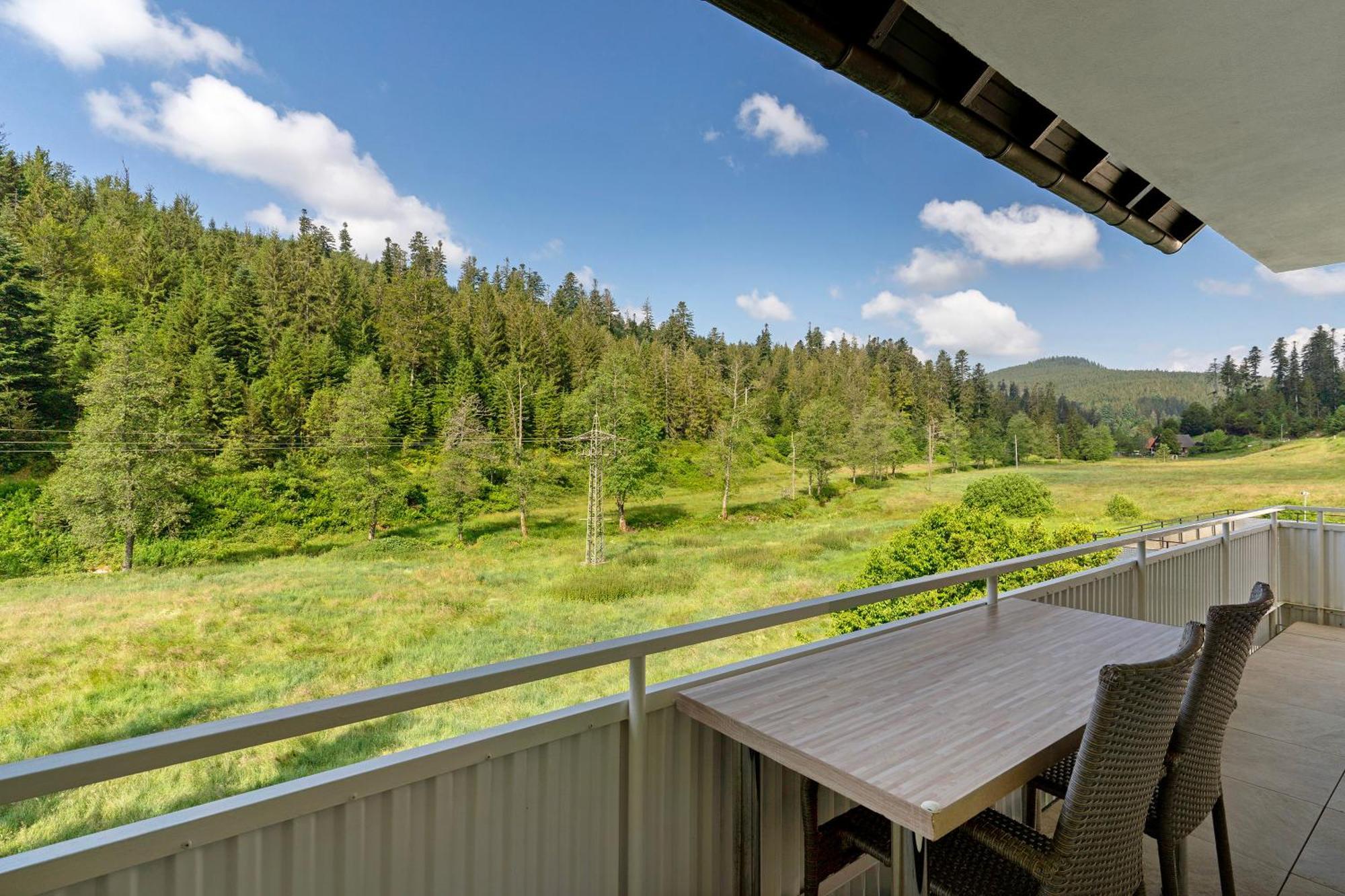 Haus Gisela Appartement Forbach Buitenkant foto